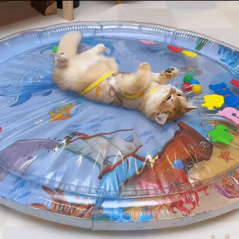 🔥Last Day!Buy 1 Get 1 Free For Only $14.99 Each🔥Curious Play Mat Your Pet Will Actually Use
